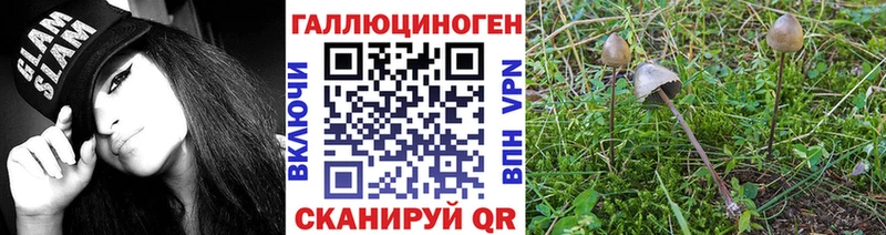 Галлюциногенные грибы MAGIC MUSHROOMS ссылка на мегу ссылка Велиж